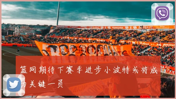 篮网期待下赛季进步小波特或将成为关键一员