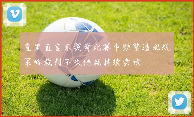 霍里直言东契奇比赛中频繁造犯规策略裁判不吹他就持续尝试