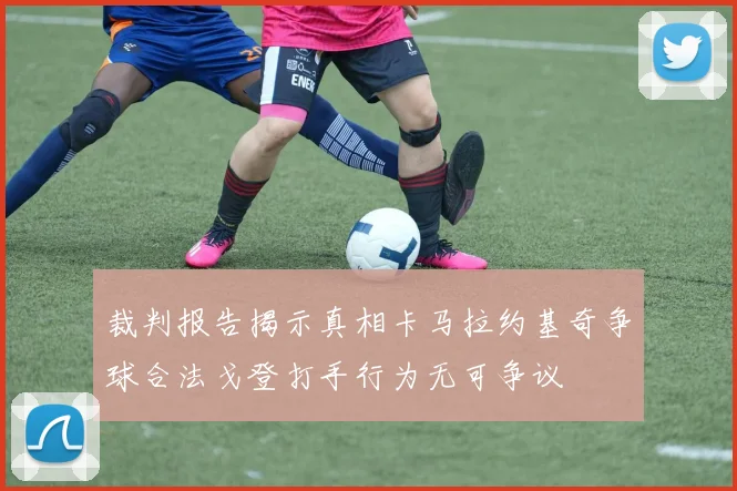 裁判报告揭示真相卡马拉约基奇争球合法戈登打手行为无可争议