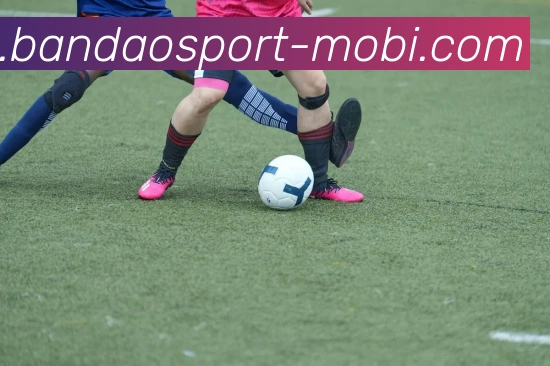 App Interface Preview