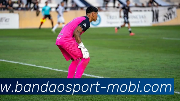 半岛体育APP 封面图